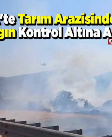 Bilecik'te tarım arazisinde çıkan yangın kontrol altına alındı