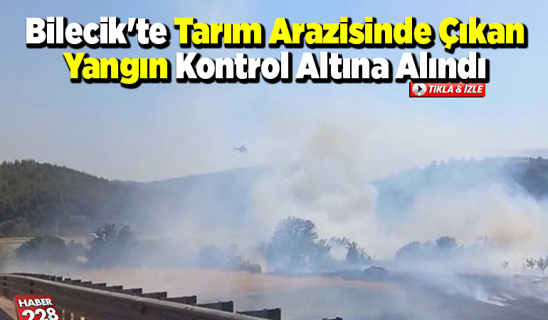 Bilecik’te tarım arazisinde çıkan yangın kontrol altına alındı