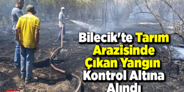 Bilecik'te tarım arazisinde çıkan yangın kontrol altına alındı