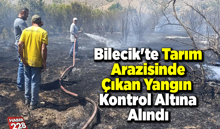 Bilecik’te tarım arazisinde çıkan yangın kontrol altına alındı