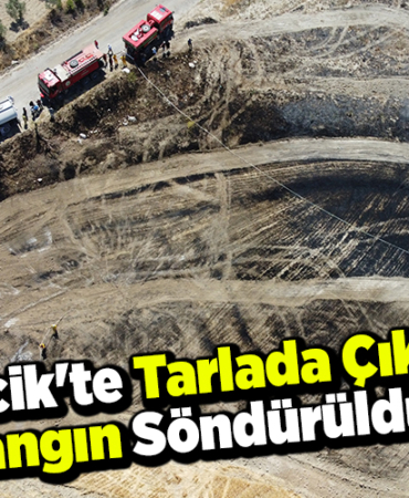 Bilecik'te tarlada çıkan yangın söndürüldü