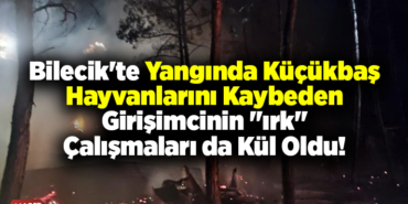 Bilecik'te yangında küçükbaş hayvanlarını kaybeden girişimcinin çalışmaları da kül oldu