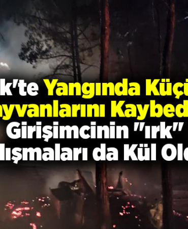 Bilecik'te yangında küçükbaş hayvanlarını kaybeden girişimcinin çalışmaları da kül oldu
