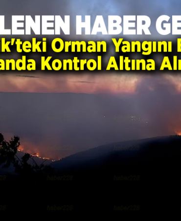 Bilecik'teki orman yangını büyük oranda kontrol altına alındı