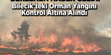 Bilecik'teki orman yangını kontrol altına alındı