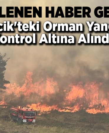 Bilecik'teki orman yangını kontrol altına alındı