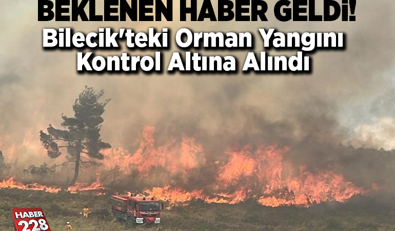 Bilecik’teki orman yangını kontrol altına alındı