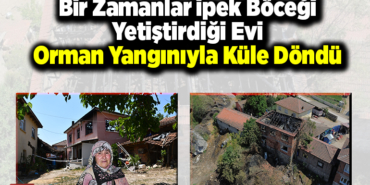 Bir zamanlar ipek böceği yetiştirdiği evi orman yangınıyla küle döndü