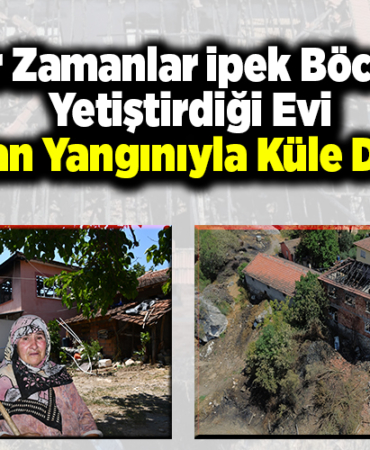 Bir zamanlar ipek böceği yetiştirdiği evi orman yangınıyla küle döndü