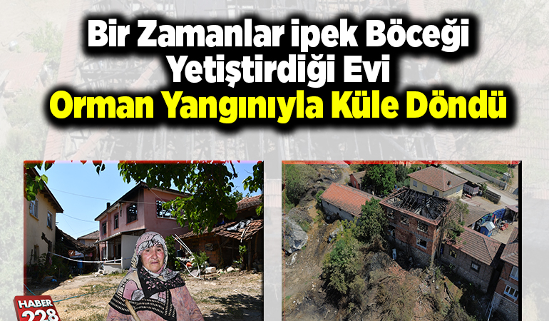 Bir zamanlar ipek böceği yetiştirdiği evi orman yangınıyla küle döndü