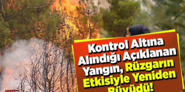 Kontrol altına alındığı açıklanan yangın, rüzgarın etkisiyle yeniden büyüdü