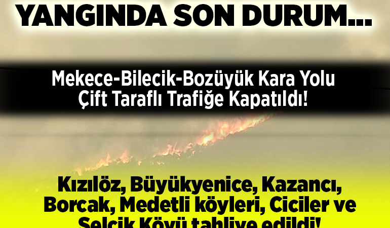 Bilecik tarafına sıçrayan orman yangınına 3. gününde müdahale sürüyor