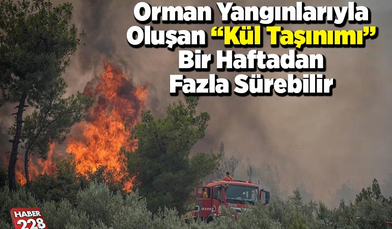 Orman yangınlarıyla oluşan “kül taşınımı” bir haftadan fazla sürebilir