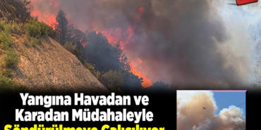 Yangına havadan ve karadan müdahaleyle söndürülmeye çalışılıyor