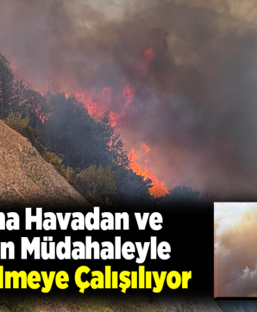 Yangına havadan ve karadan müdahaleyle söndürülmeye çalışılıyor