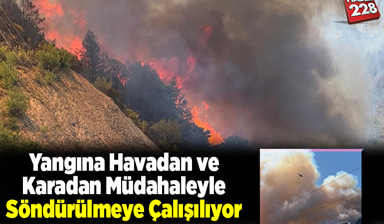 Yangına havadan ve karadan müdahaleyle söndürülmeye çalışılıyor