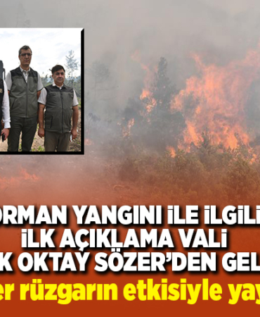 alevlerin rüzgarın etkisiyle yayıldığını söyledi