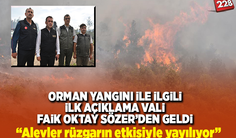 Bilecik’te çıkan orman yangınına müdahale ediliyor