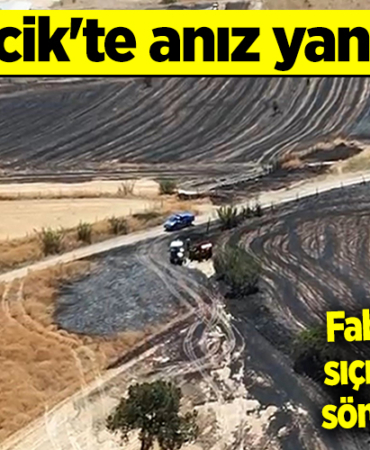 anız