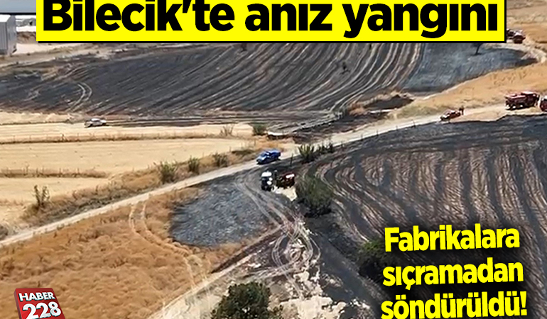 Bilecik’te anız yangını fabrikalara sıçramadan söndürüldü