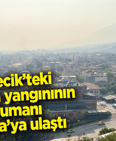 duman