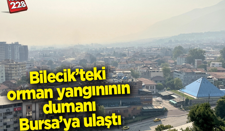 Bilecik’teki orman yangınının dumanı Bursa’ya ulaştı