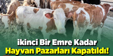 ikinci bir emre kadar hayvan pazarları kapatıldıI