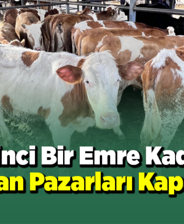 ikinci bir emre kadar hayvan pazarları kapatıldıI