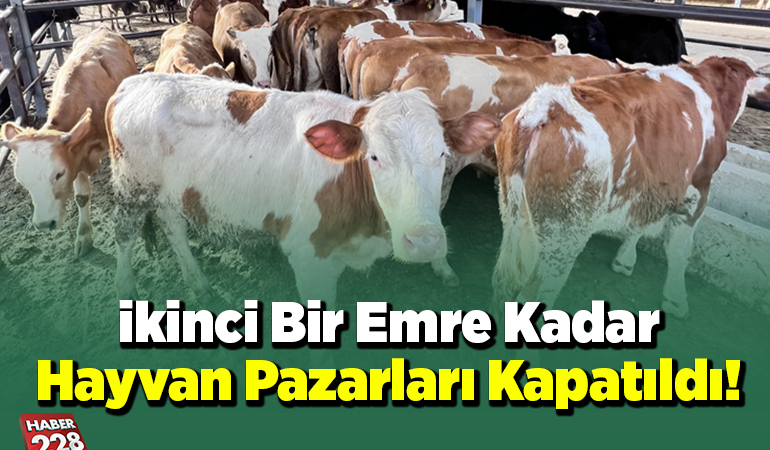 ikinci bir emre kadar hayvan pazarları kapatıldı