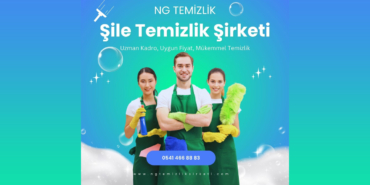 ngtemizliksirketi.com (2)