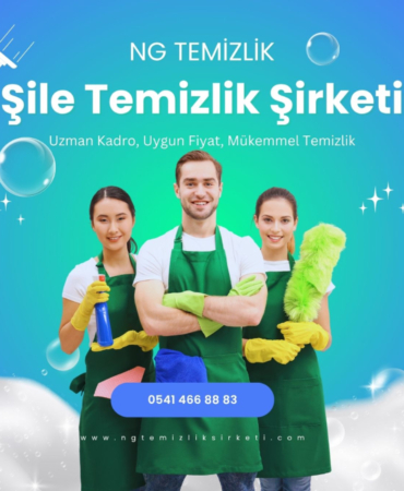 ngtemizliksirketi.com (2)