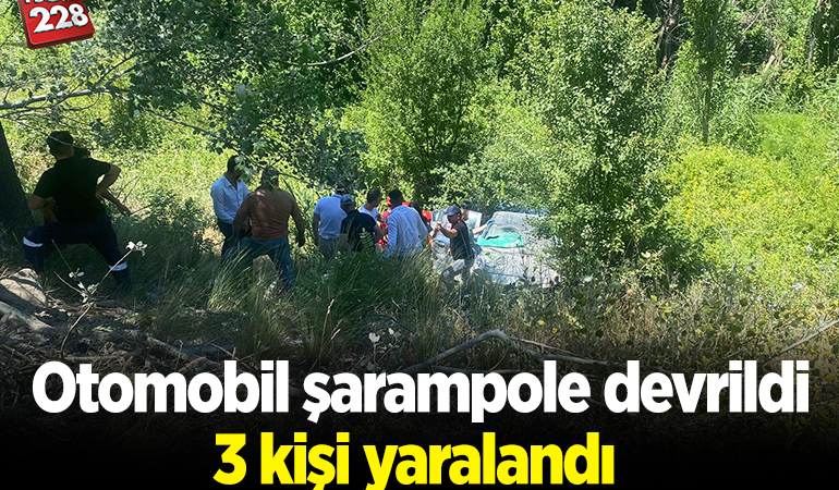 Bilecik’te otomobilin şarampole devrilmesi sonucu 3 kişi yaralandı