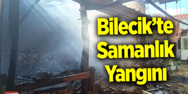yangın