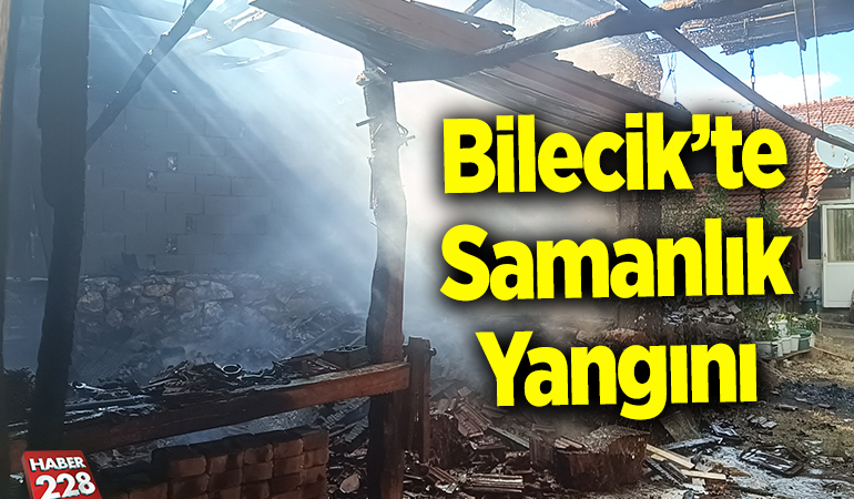 Bilecik’te samanlıkta çıkan yangın söndürüldü