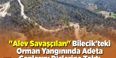 Alev savaşçılar Bilecik'teki orman yangınında adeta canlarını dişlerine taktı