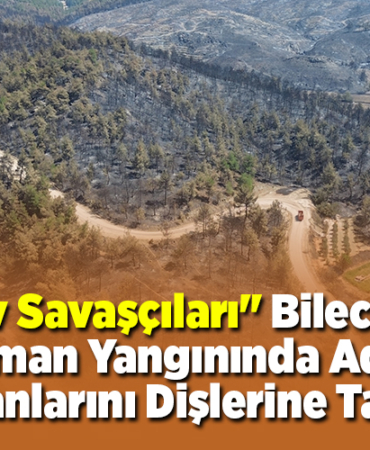 Alev savaşçılar Bilecik'teki orman yangınında adeta canlarını dişlerine taktı