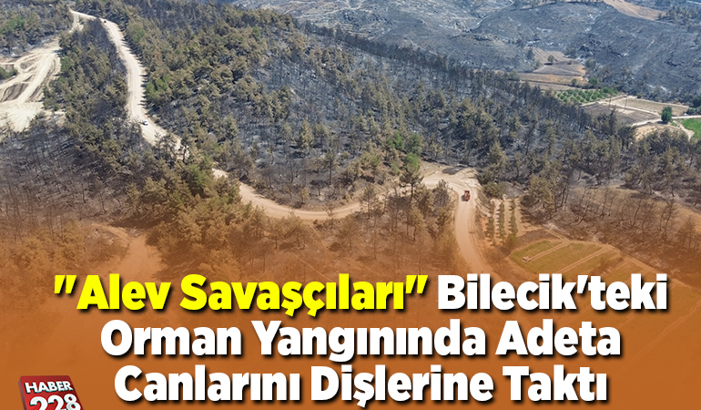“Alev savaşçıları” Bilecik’teki orman yangınında adeta canlarını dişlerine taktı