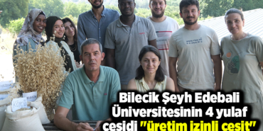 Bilecik Şeyh Edebali Üniversitesinin 4 yulaf çeşidi