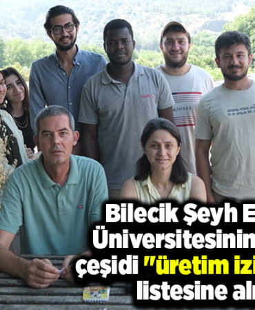 Bilecik Şeyh Edebali Üniversitesinin 4 yulaf çeşidi