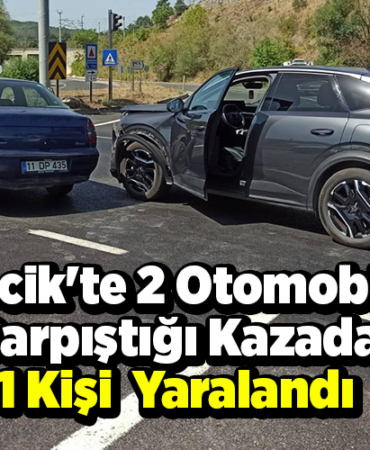 Bilecik'te 2 otomobilin çarpıştığı kazada 1 kişi yaralandı