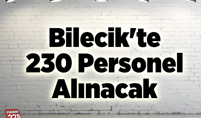 Bilecik’te 230 personel alınacak