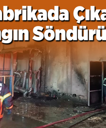 Bilecik'te bir fabrikada çıkan yangın söndürüldü