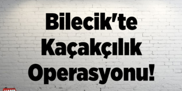 Bilecik'te kaçakçılık operasyonunda