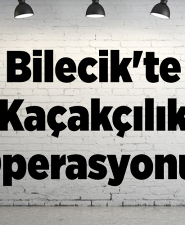 Bilecik'te kaçakçılık operasyonunda