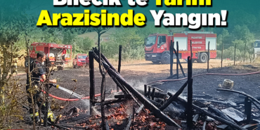 Bilecik'te tarım arazisinde yangın!