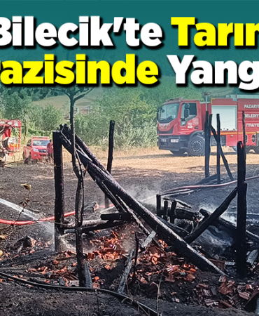 Bilecik'te tarım arazisinde yangın!