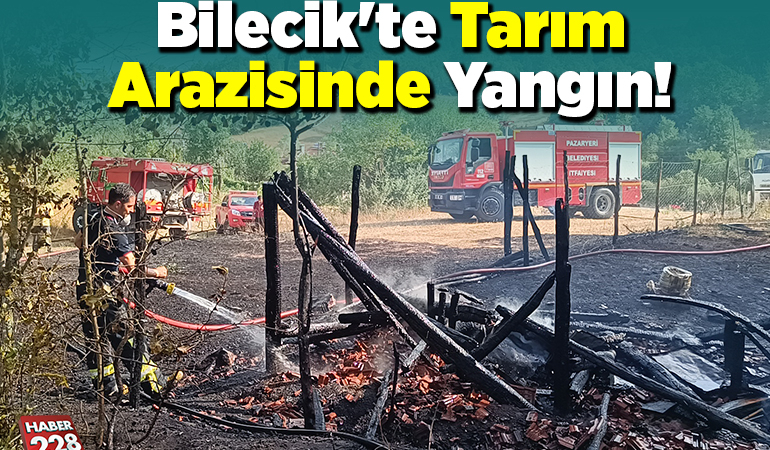 Bilecik’te tarım arazisinde yangın!