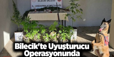 Bilecik'te uyuşturucu operasyonunda 2 şüpheli yakalandı