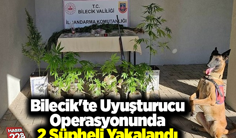 Bilecik’te uyuşturucu operasyonunda 2 şüpheli yakalandı