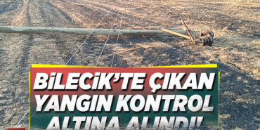 bilecik yangın